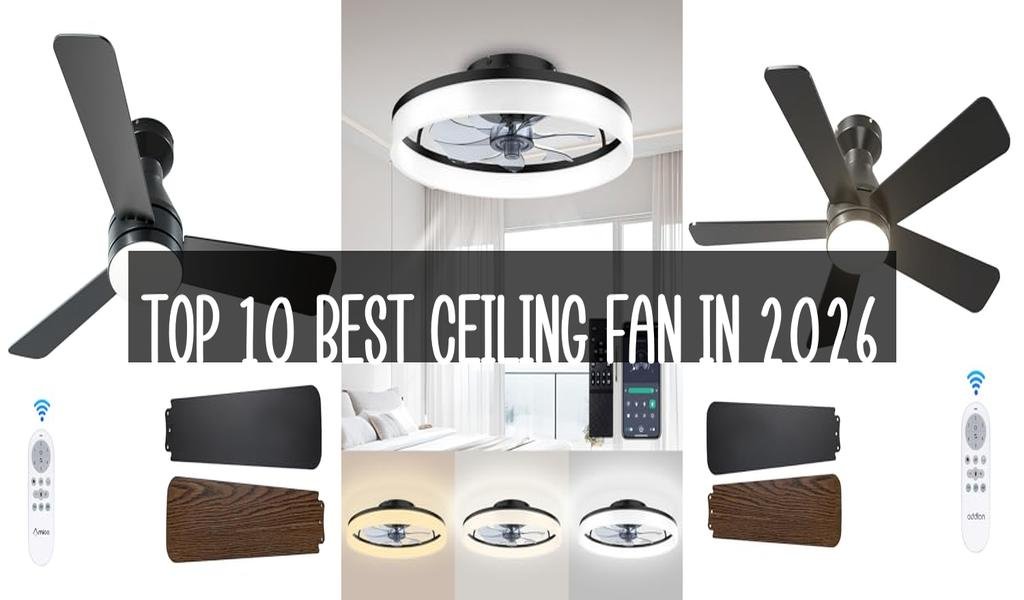 Top 10 Best Ceiling Fan in 2026