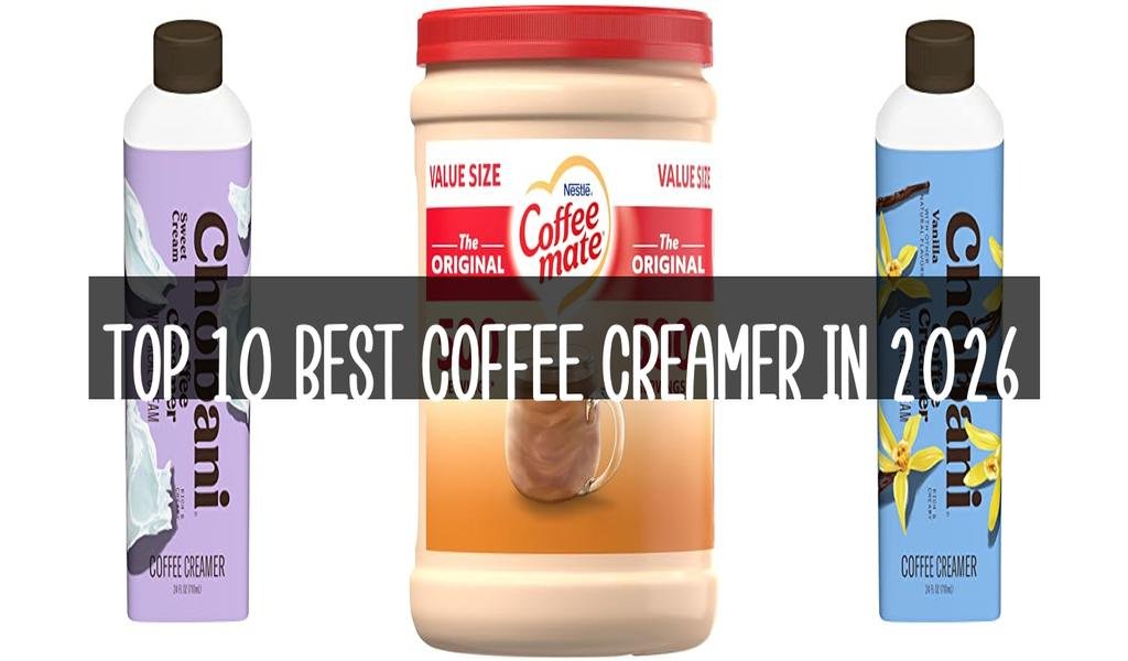 Top 10 Best Coffee Creamer in 2026